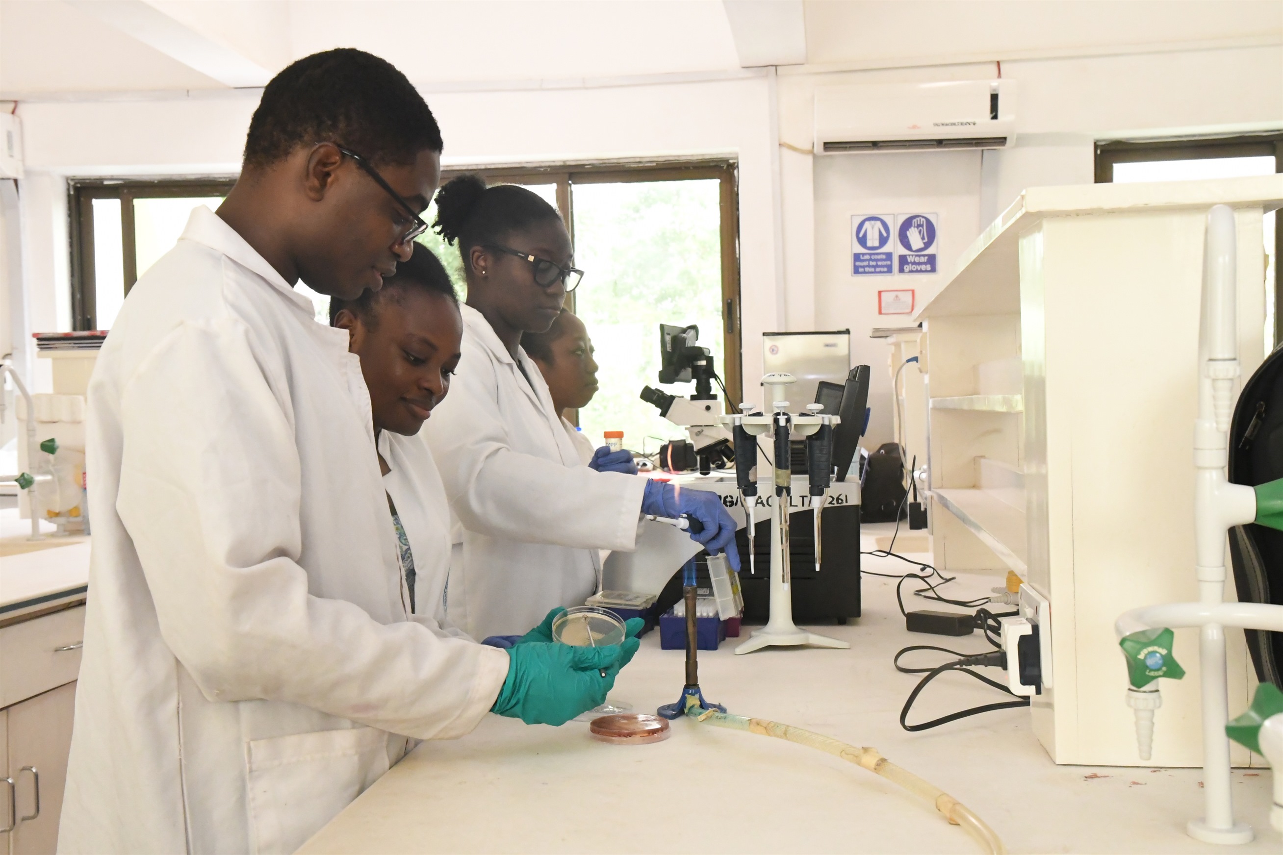Students in university lecture hall
