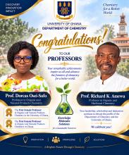Prof. Dorcas Osei Safo and Prof. Richard K. Amewu — University of Ghana, Department of Chemistry.