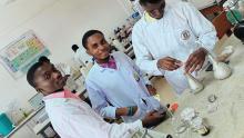 Students doing some lab work
