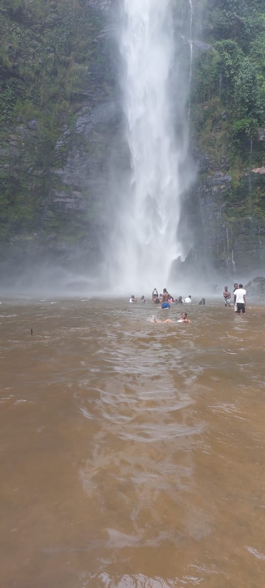 Wli