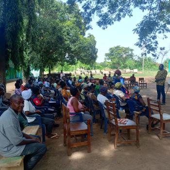 A group of maize farmers seated outdoors under trees during a stakeholder engagement session, as a presenter from SIREC explains biological control methods for fall armyworm using a poster board.
