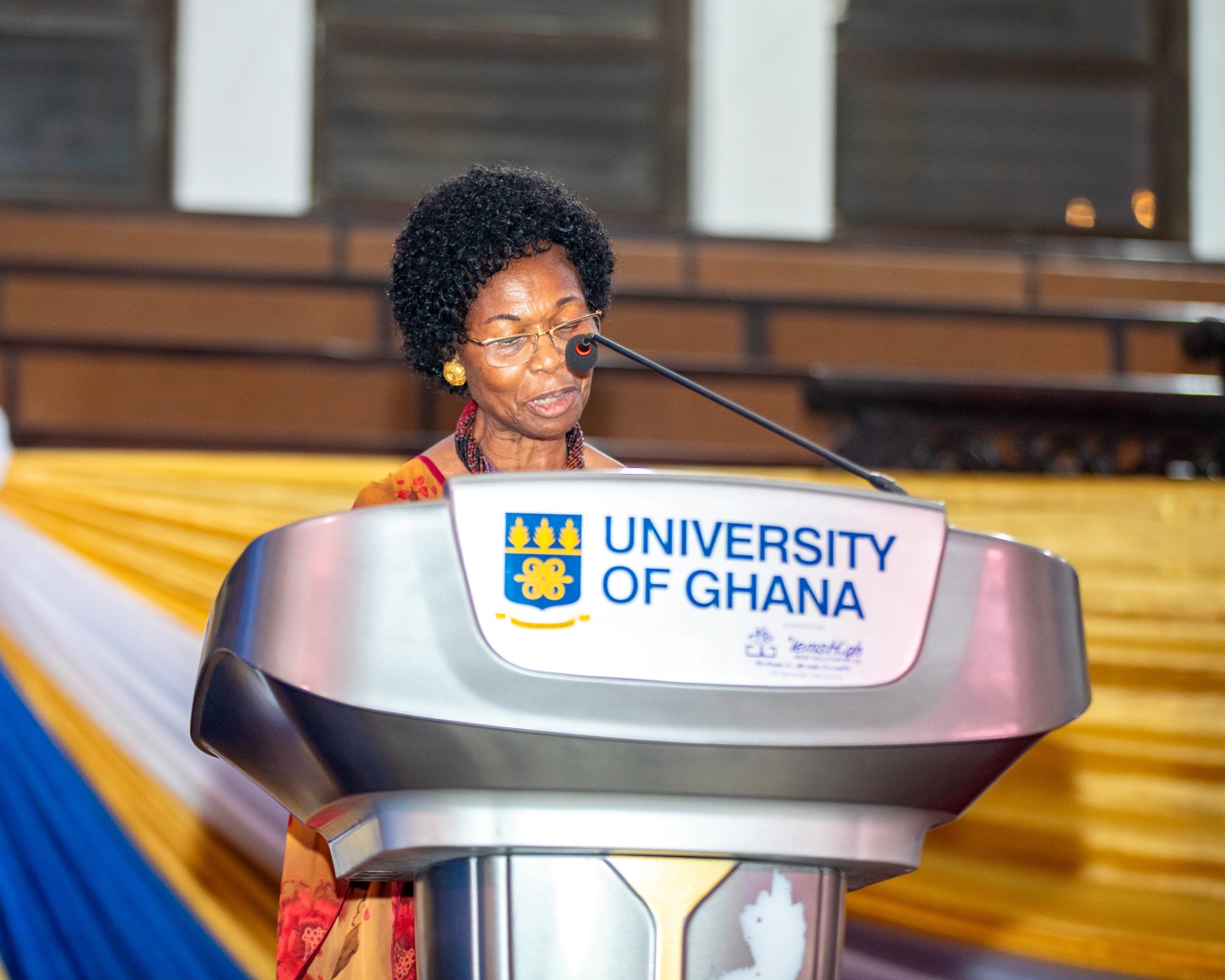 Emerita Professor Isabella Quakyi